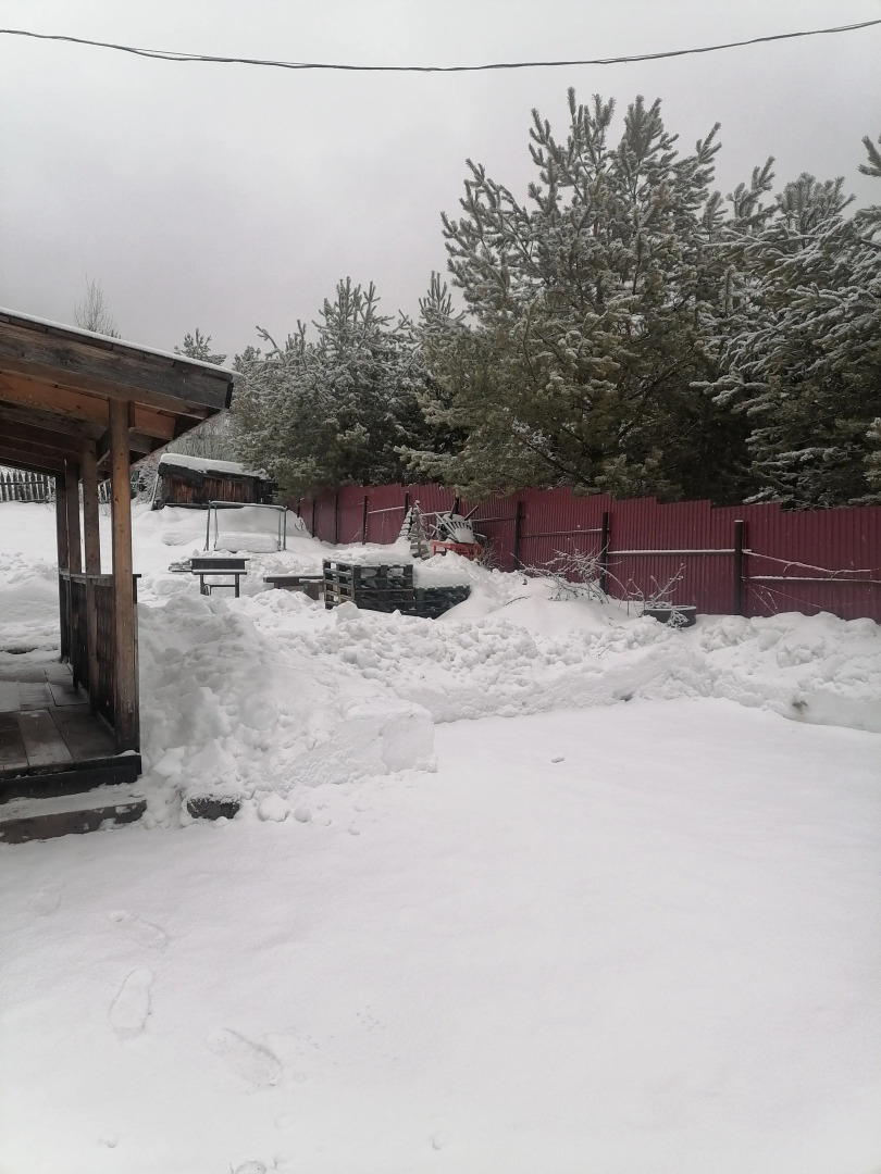 Частный дом У Берёз и Сосен