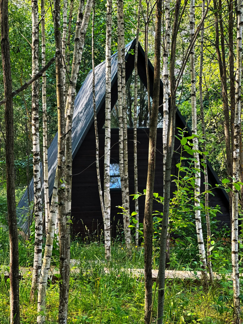 Частный дом А-фрейм Микс