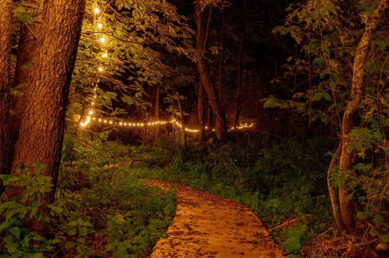 Частный Дом Афрейм с видом на лес №2