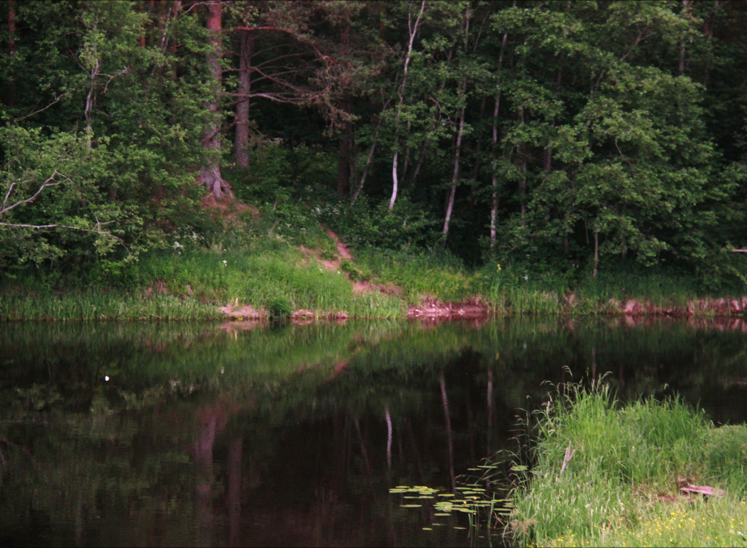 Частный дом в деревне