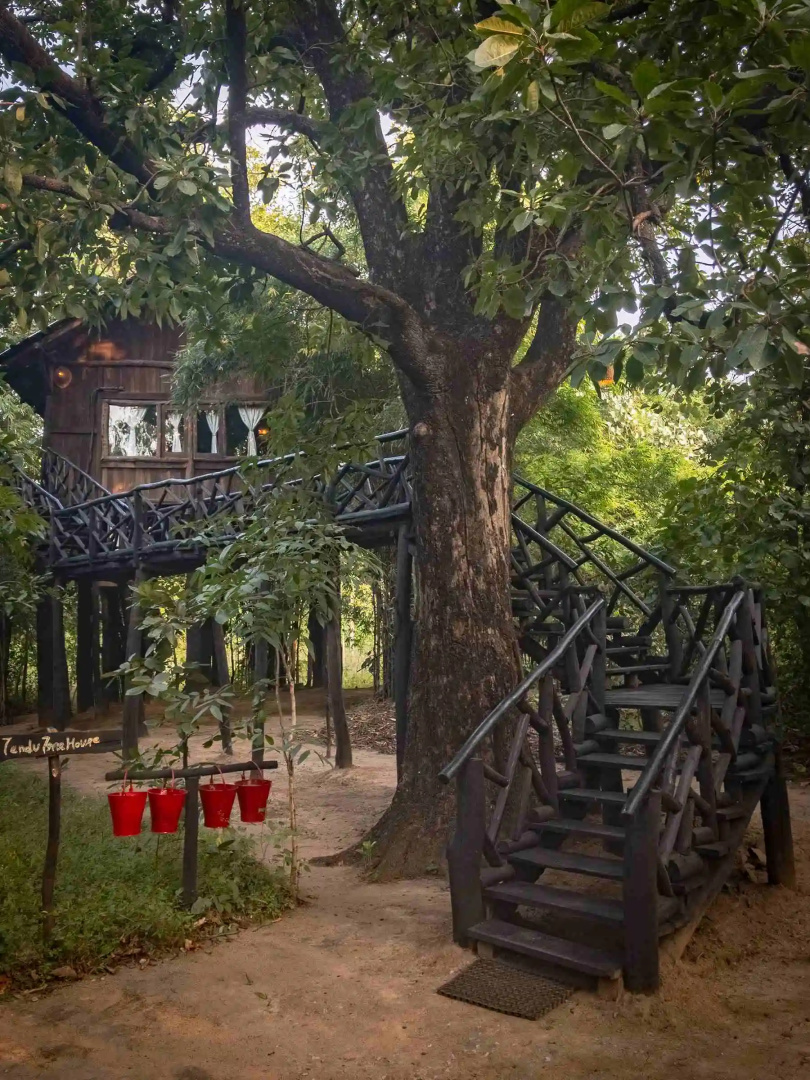 Жилое Помещение Pugdundee Safaris - Tree House Hideway