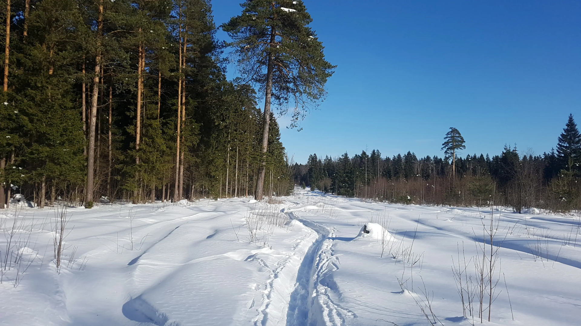 Гостевой дом Гостевой домик "Бунгало"