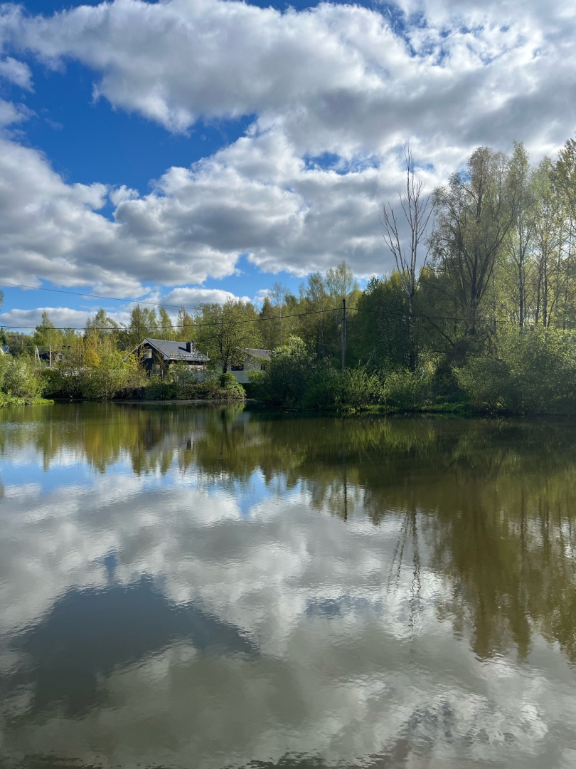 Частный дом Aurora Домик у пруда