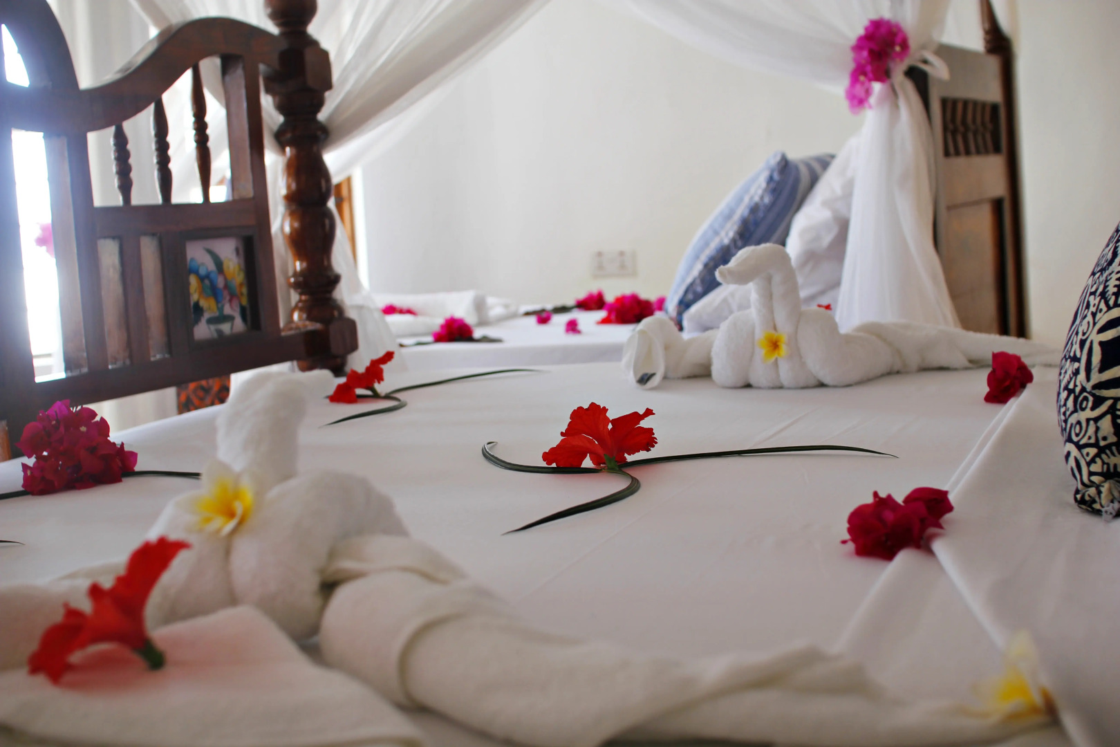 Отель Aya Beach Bungalows