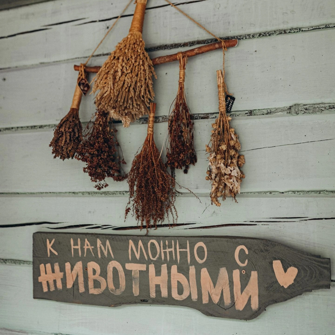 Гостевой дом Деревня Берендеевка