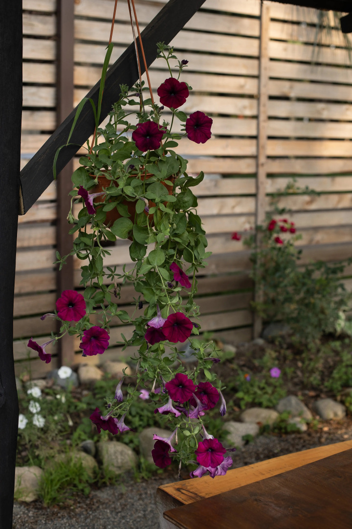 Отель At The Sea