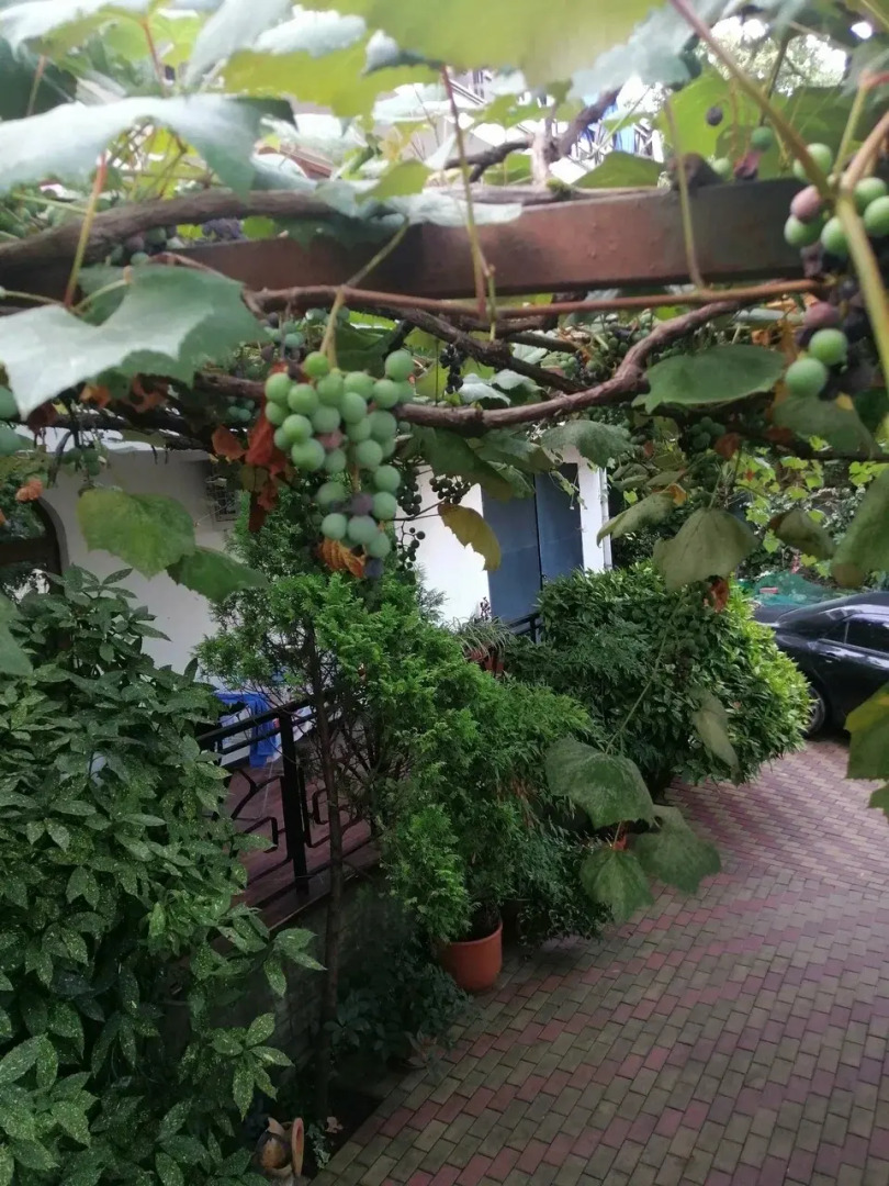 Гостевой дом Эвкалипт