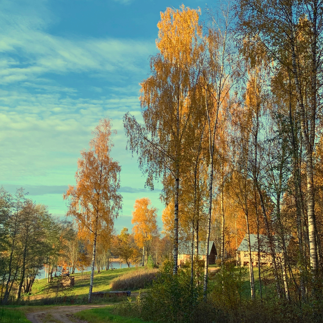 Бунгало Изба на Опушке. Хутор Пралище