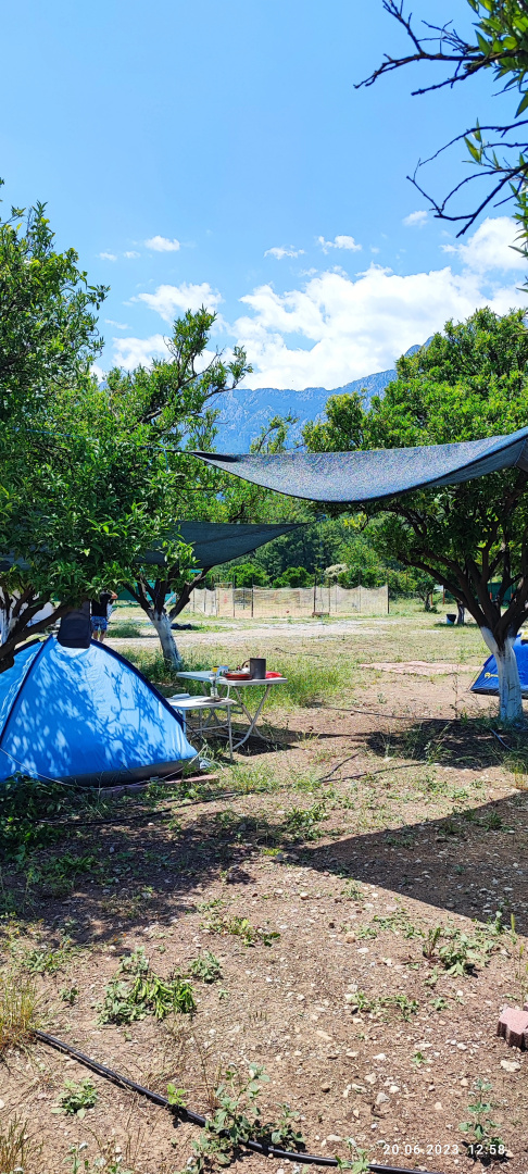 Мини-отель Orange beach camp caravan club