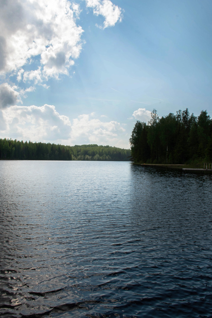 Коттедж Новгородская Деревня