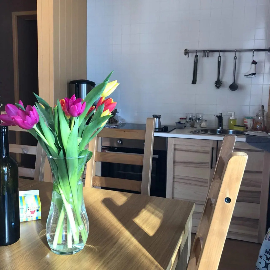 База отдыха  Шведские Дачи