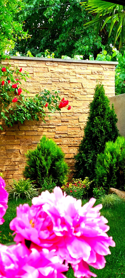 Апартаменты Green Garden