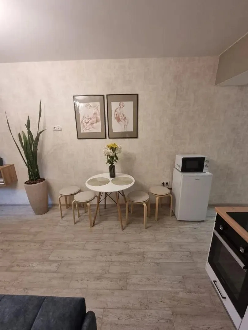 Квартира на бульваре Радищева 29