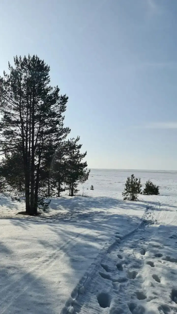 Гостевой дом с сауной вблизи реки и озера Ладоги Лисий берег