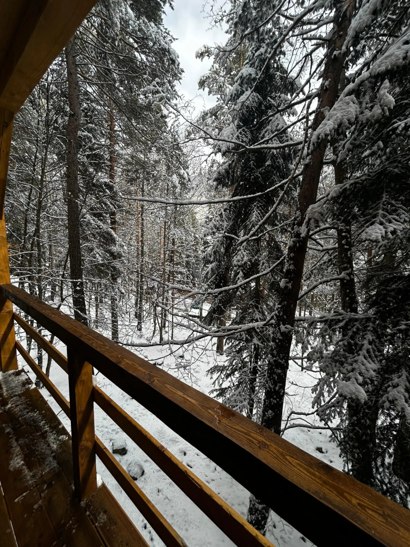 База отдыха Гринвальд 1474