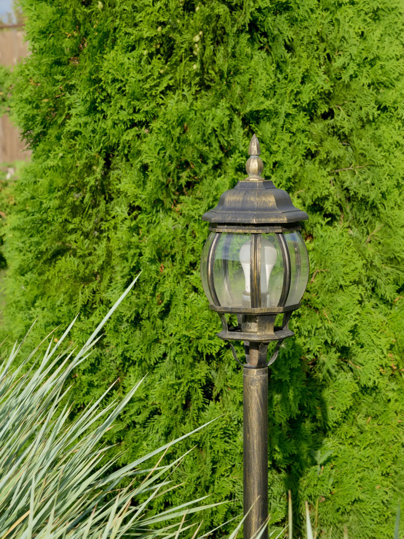 Частный дом Гуси Лебеди