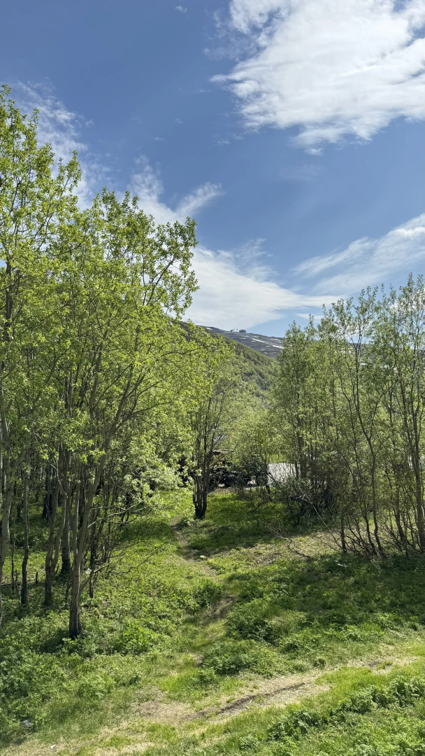 Квартира Однокомнатная у подножия Хибин