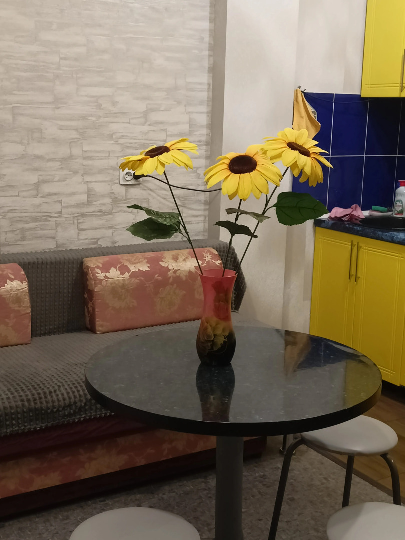 Квартира Студия в Новом Доме