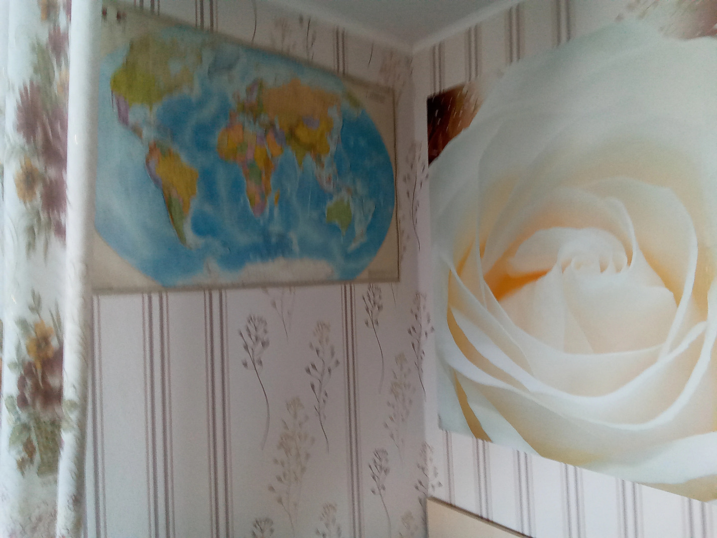 Апартаменты Уютные Рядом с Лесом и Выездом к Морю