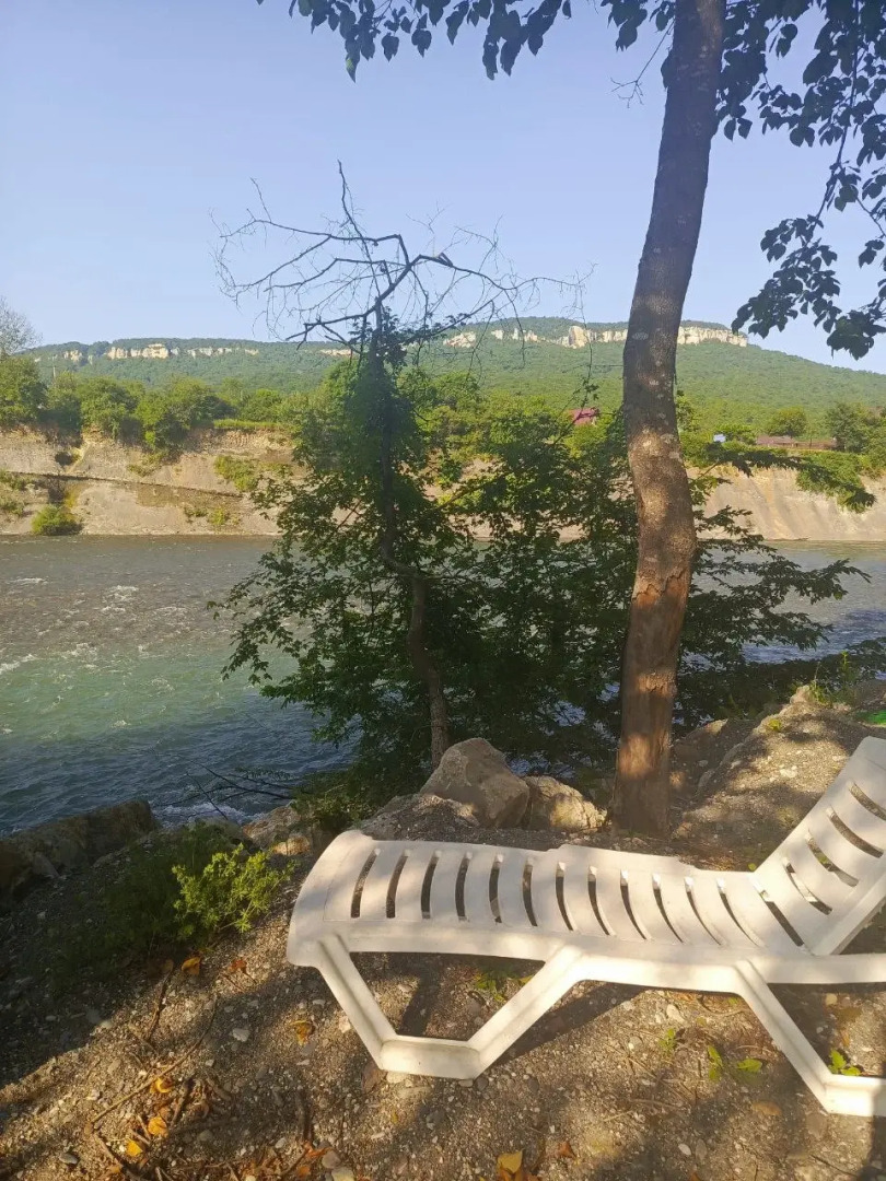 Отель Каштан