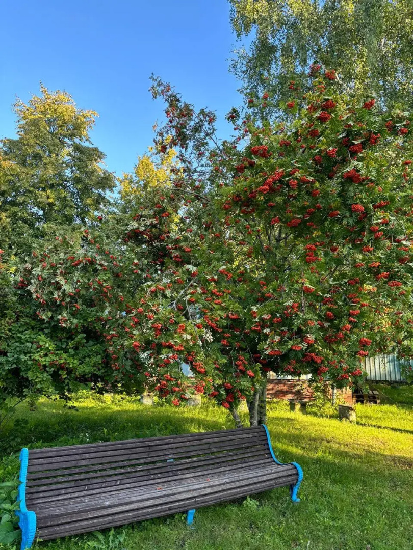 База отдыха Ока