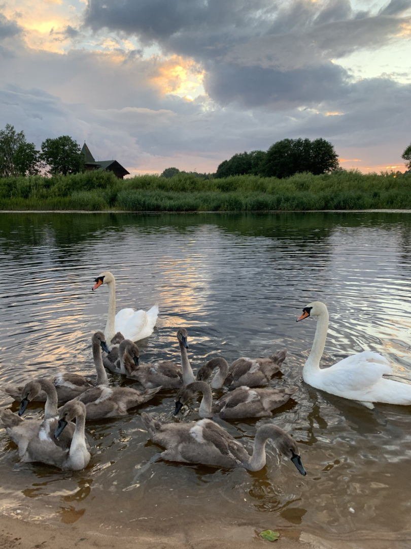 Частный дом Усадьба Павлихино