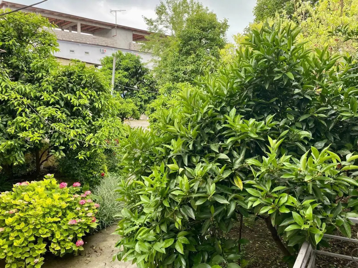 Мини-отель Калипсо