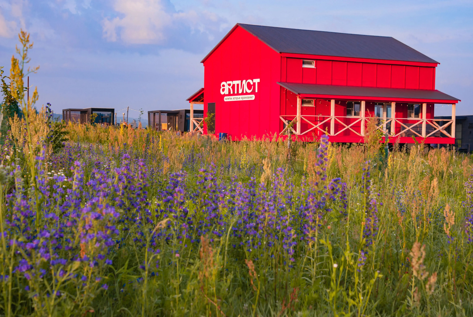 Отель Арт-кэмп Дикая Мята