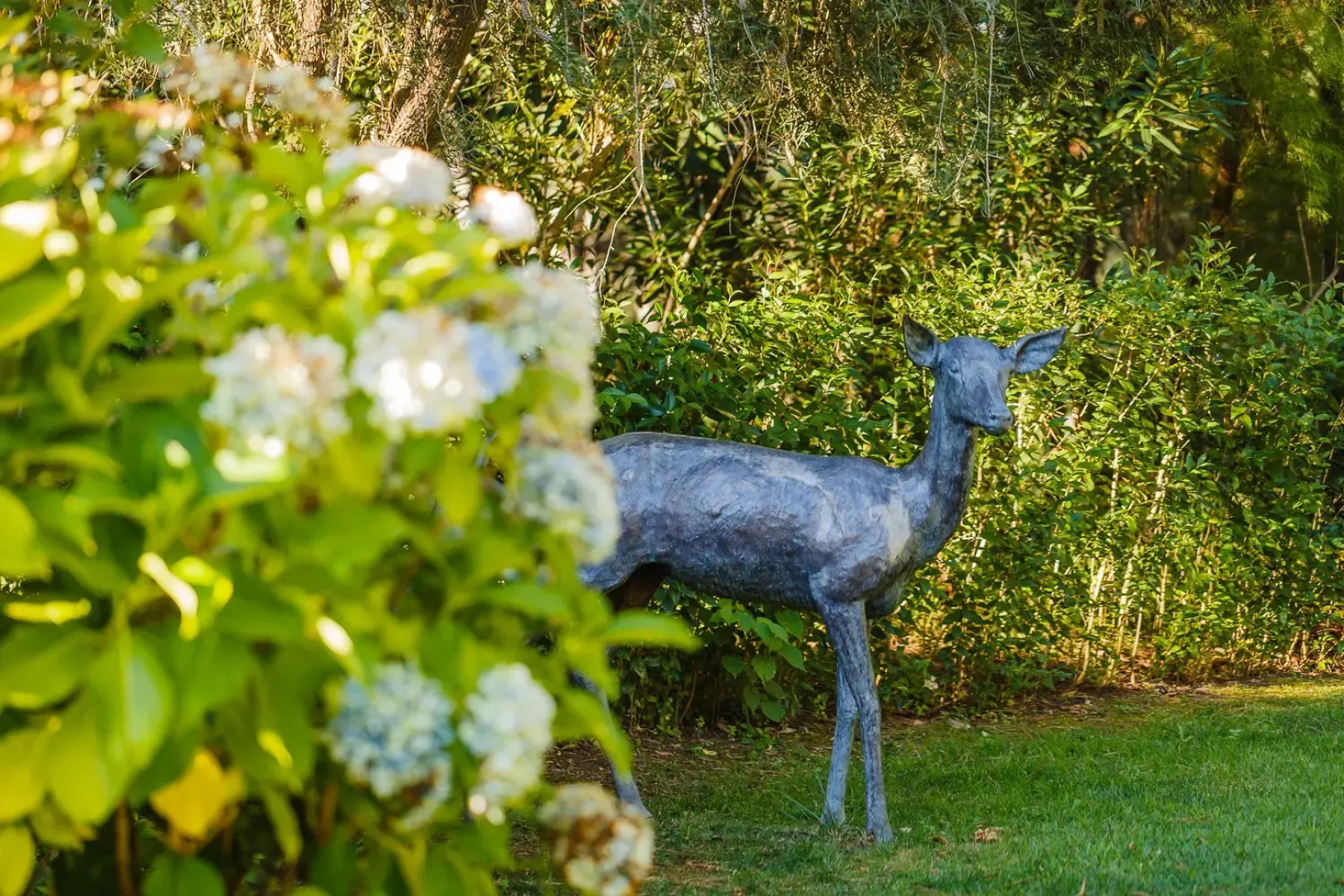 Отель Fonte Santa