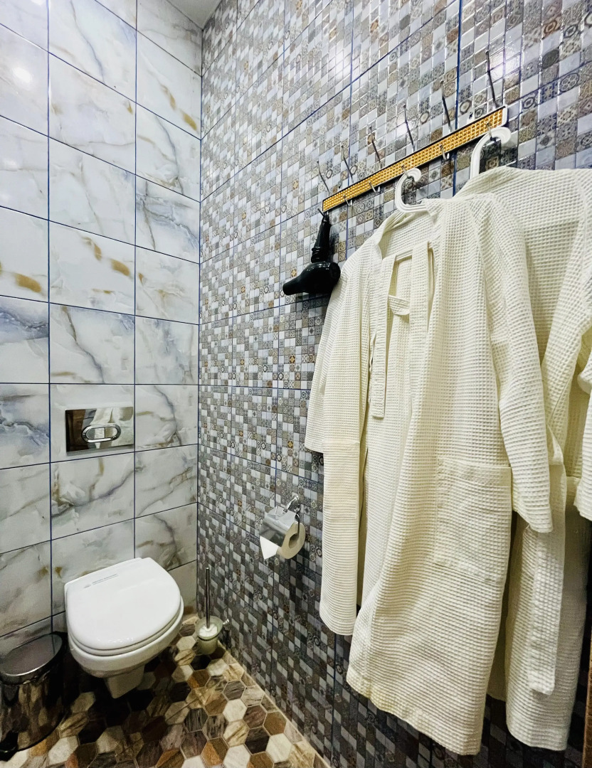 Отель Метелица