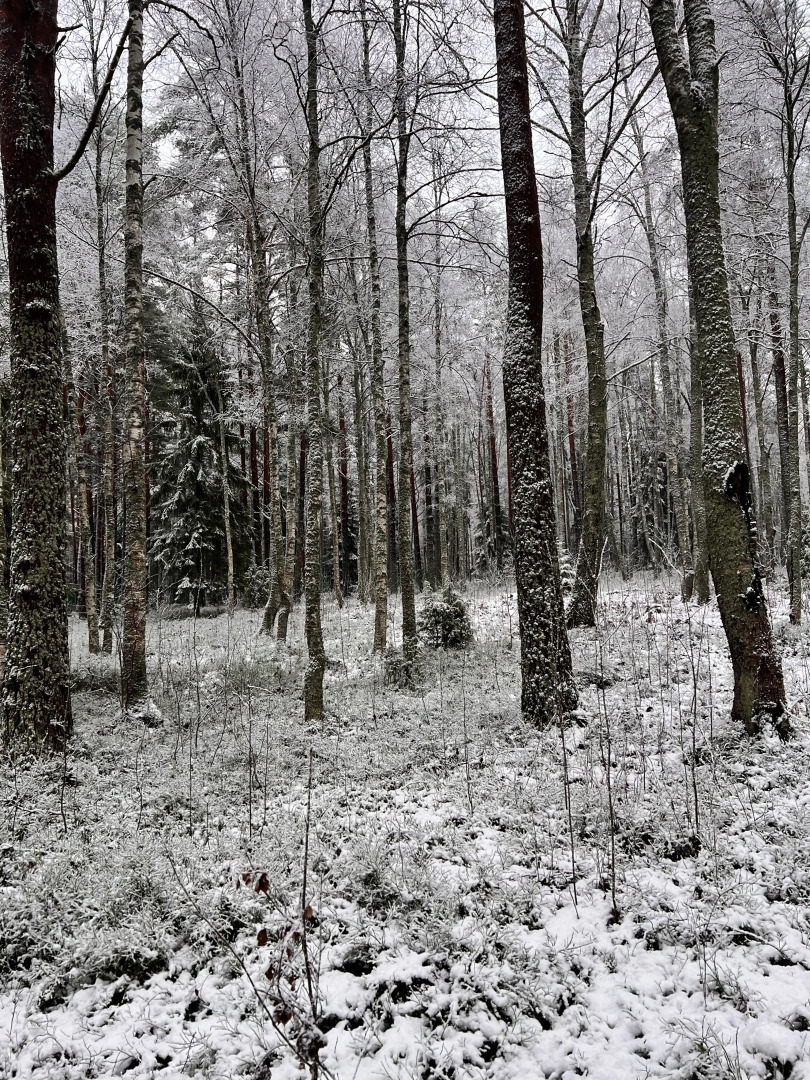 Частный дом Дача круглогодичного проживания