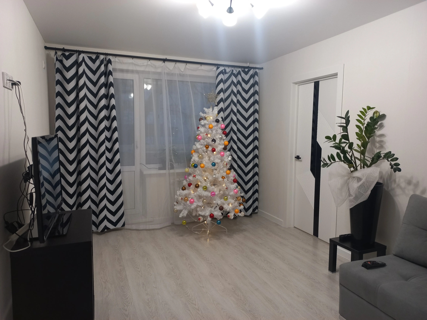 Квартира с замиакулькасами