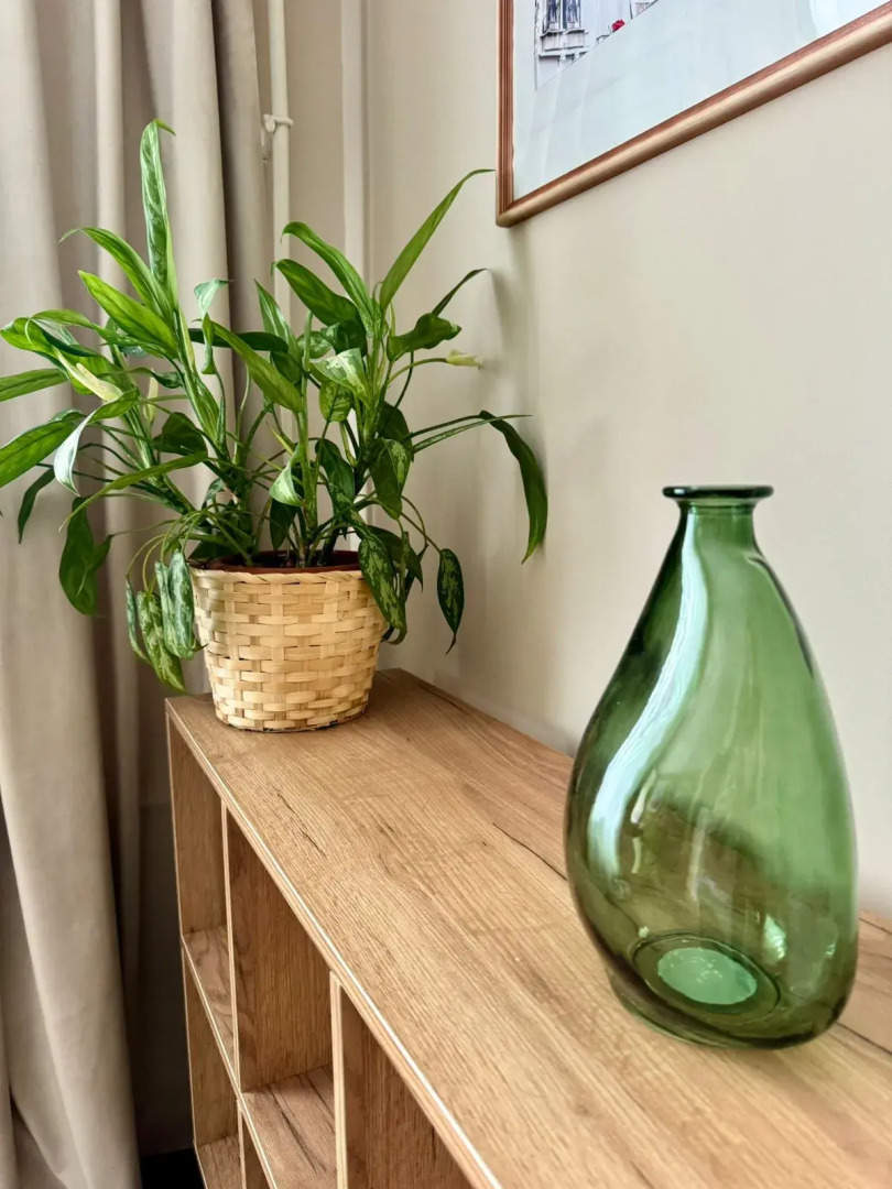 Квартира Зеленая