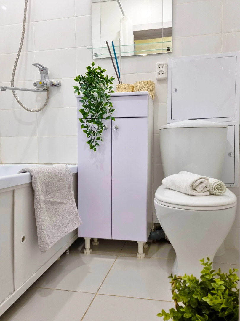 Апартаменты Бизнес класса Лимония