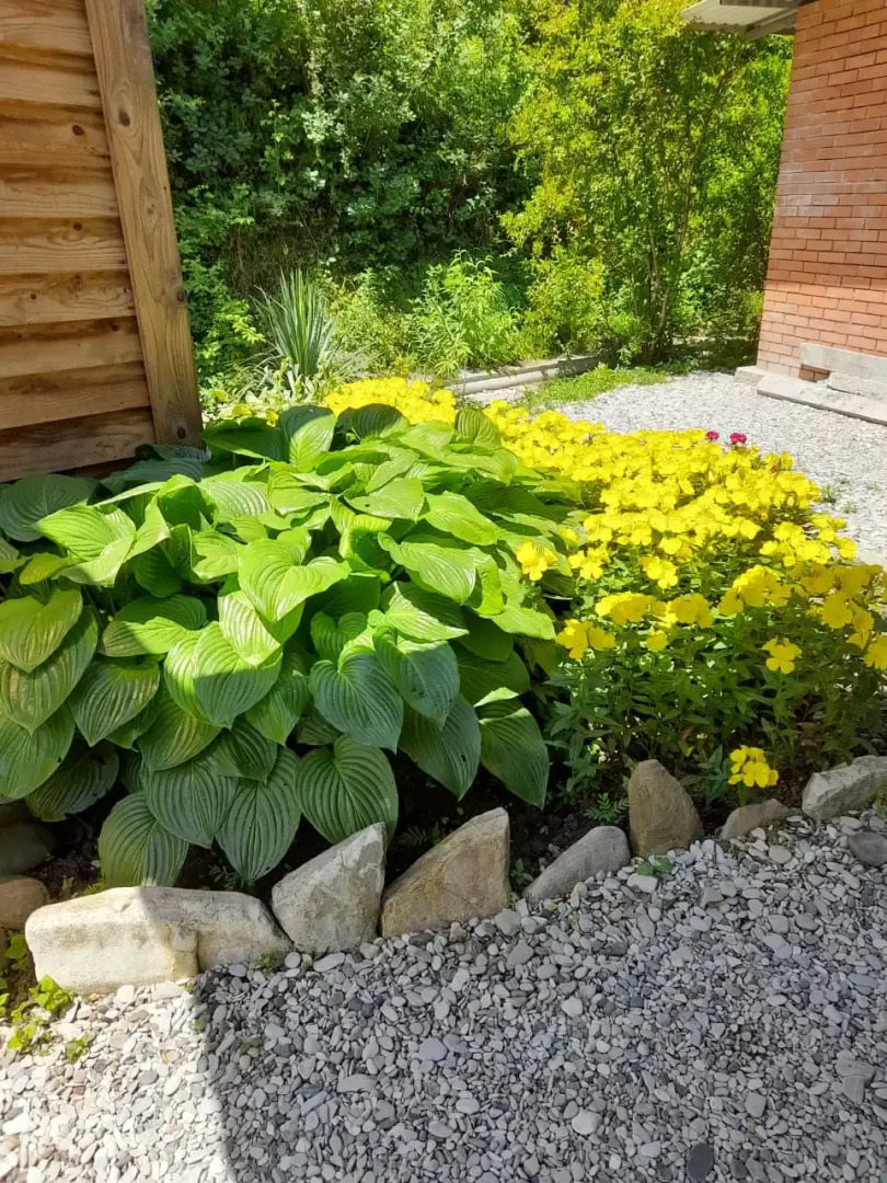 Гостевой дом Фазенда