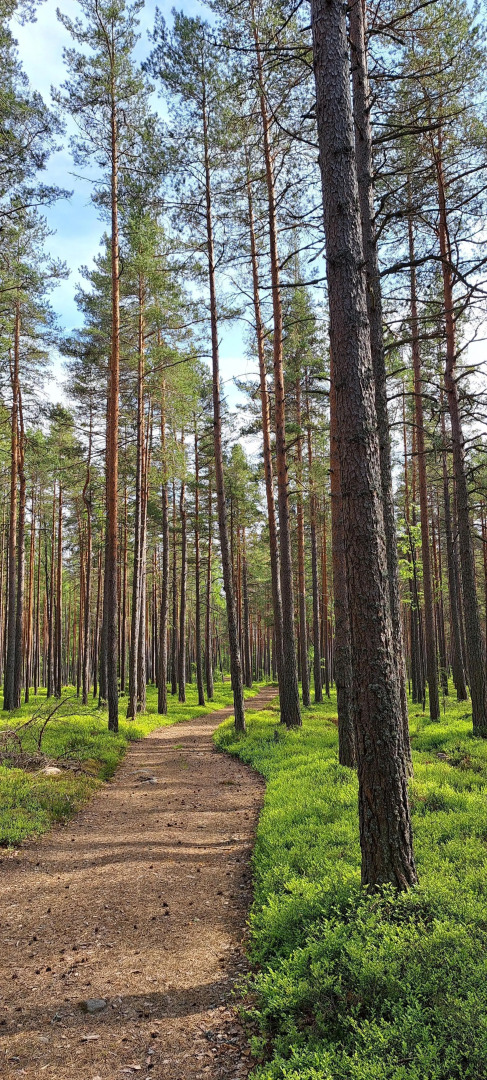 Частный дом в Вязах 2