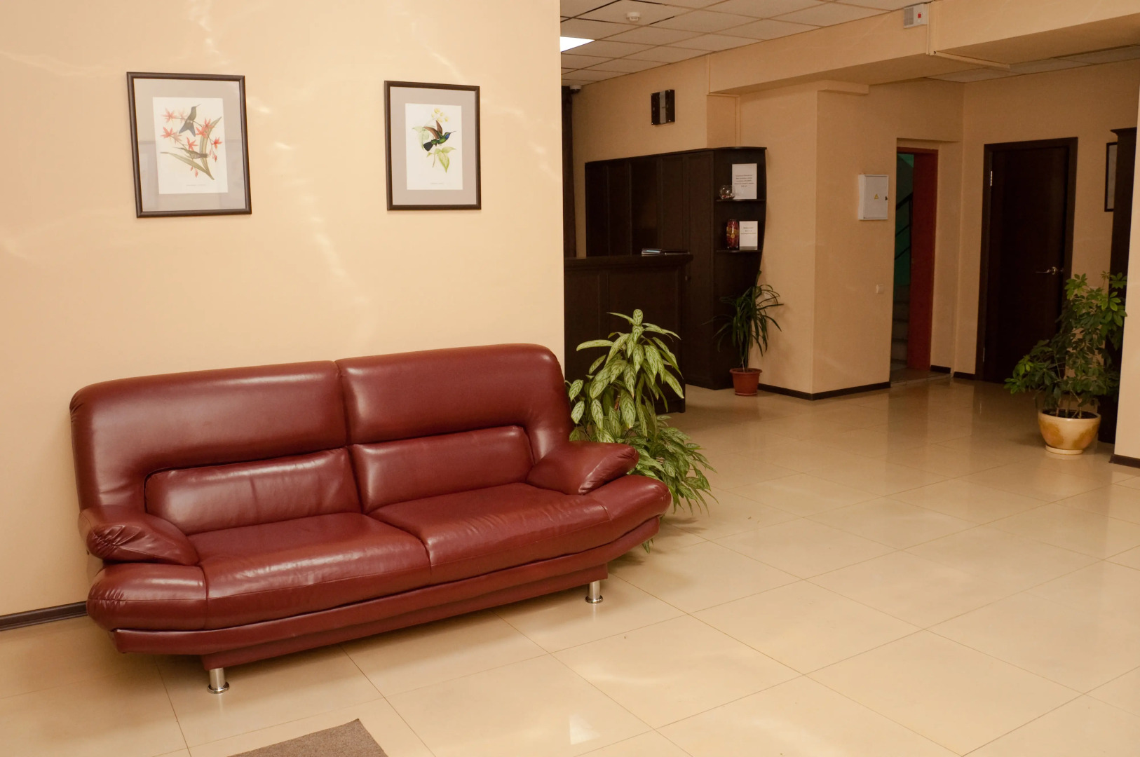 Отель Колибри