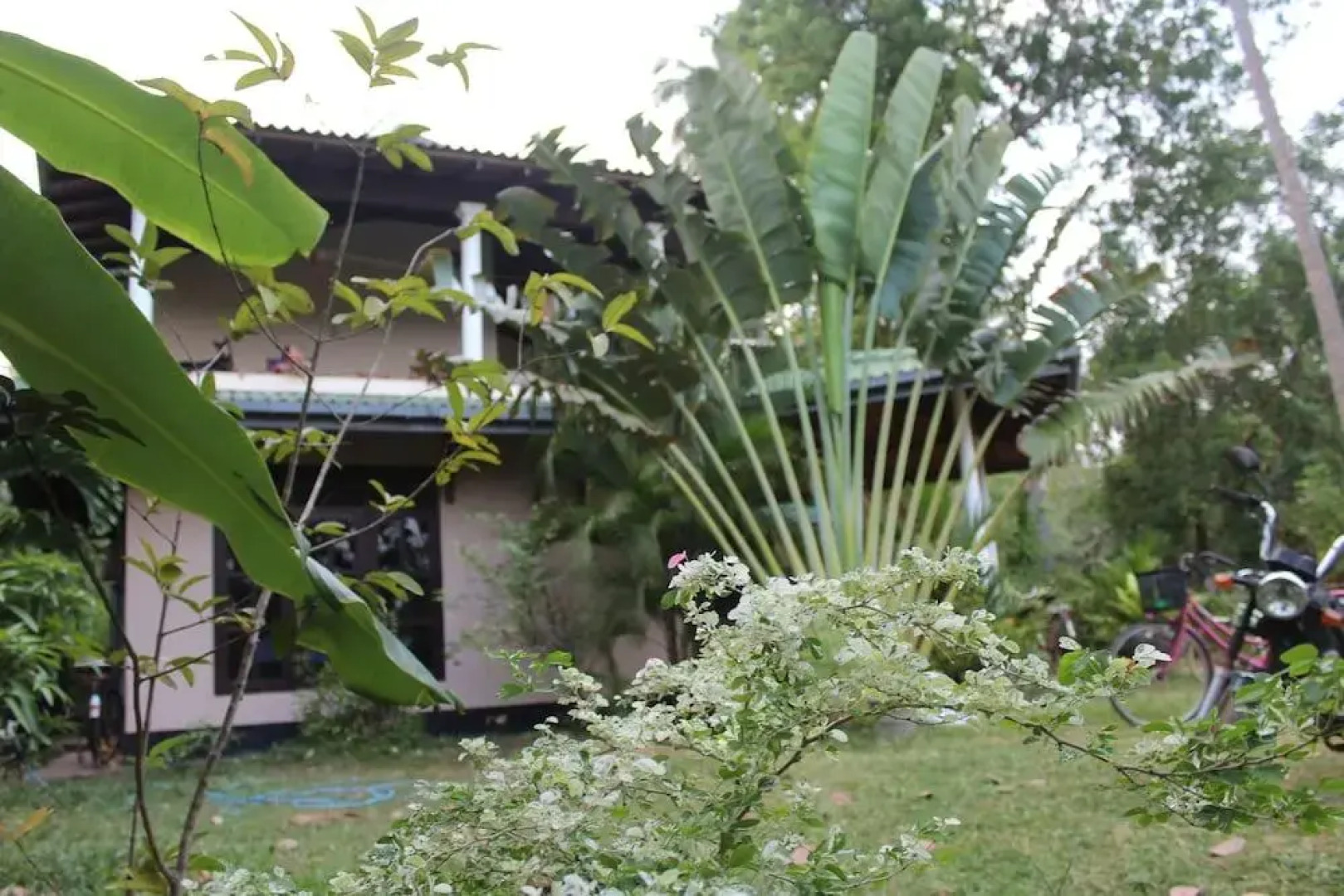 Отель All View Resort