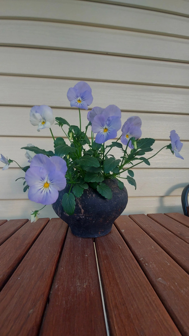 Гостевой Дом Домик с Печкой