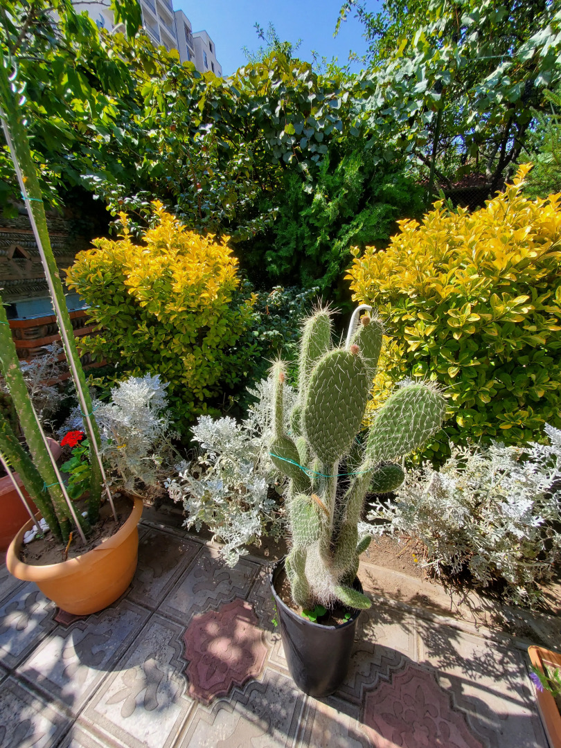 Отель West Tbilisi