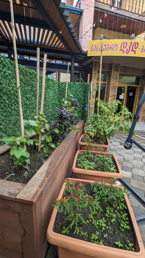 DKD-Bridge Отель