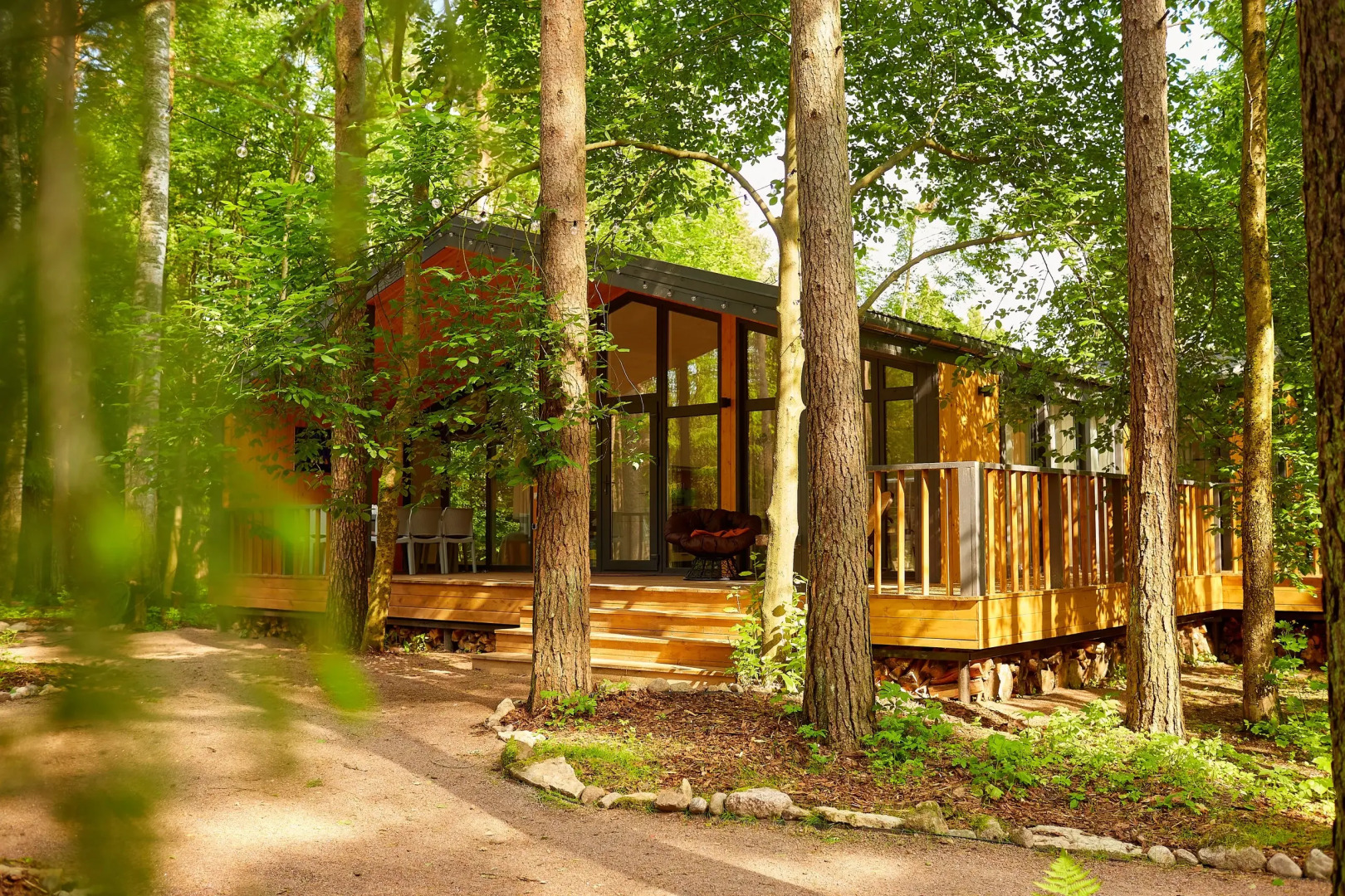 Частный дом Большая Репинская дача в лесу