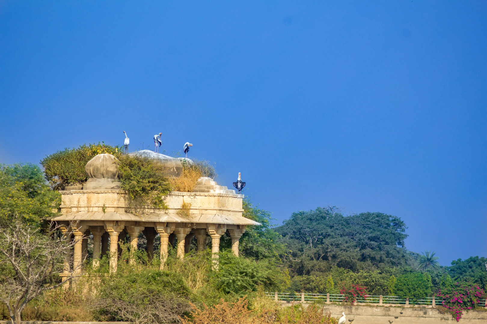 Отель Dev Shree Relais and Châteaux Luxury Deogarh