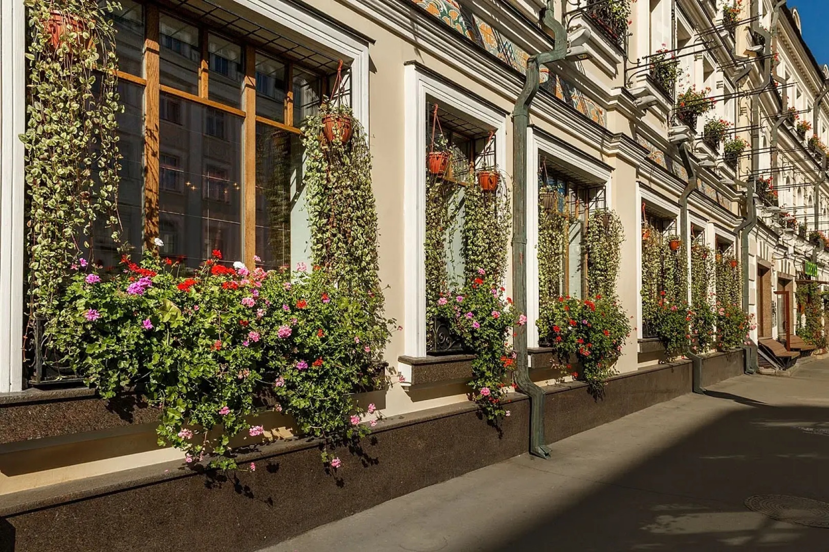 Отель Амбассадори