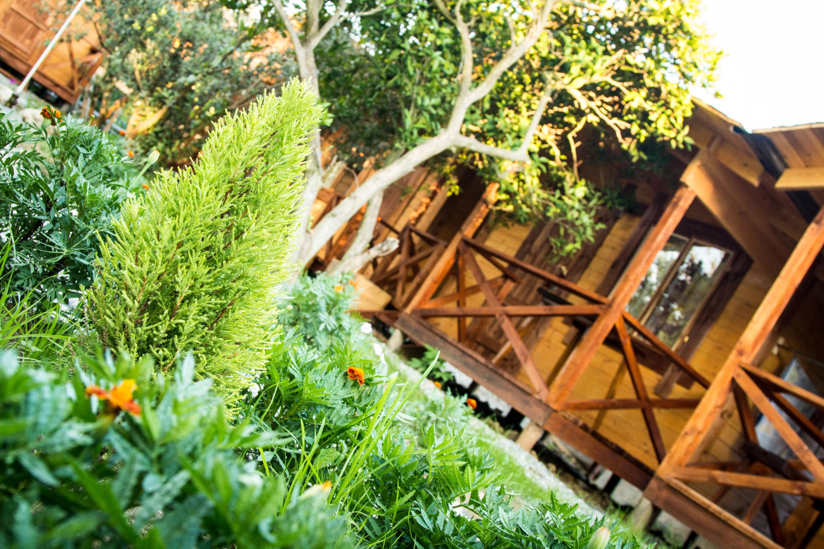 База отдыха Теремки