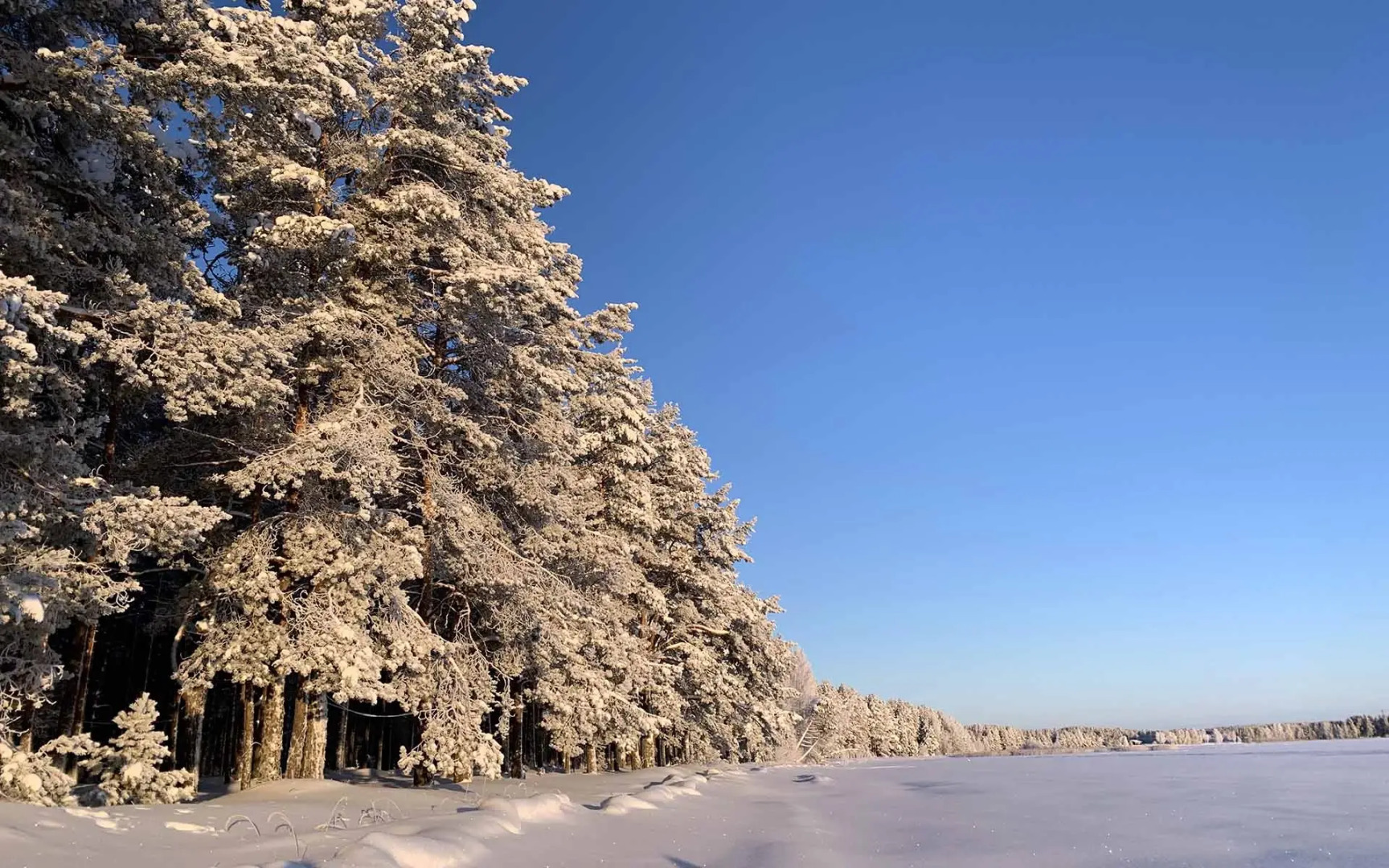 Гостевой Дом Вилла Ранду