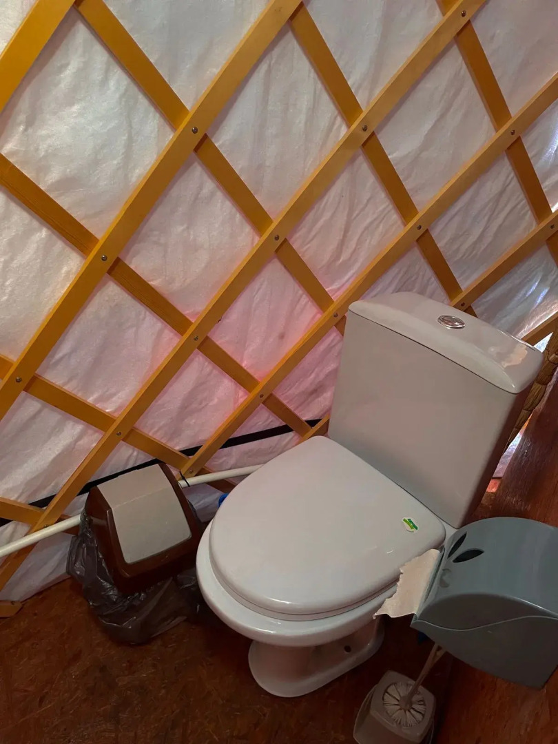 Глэмпинг Алтайский