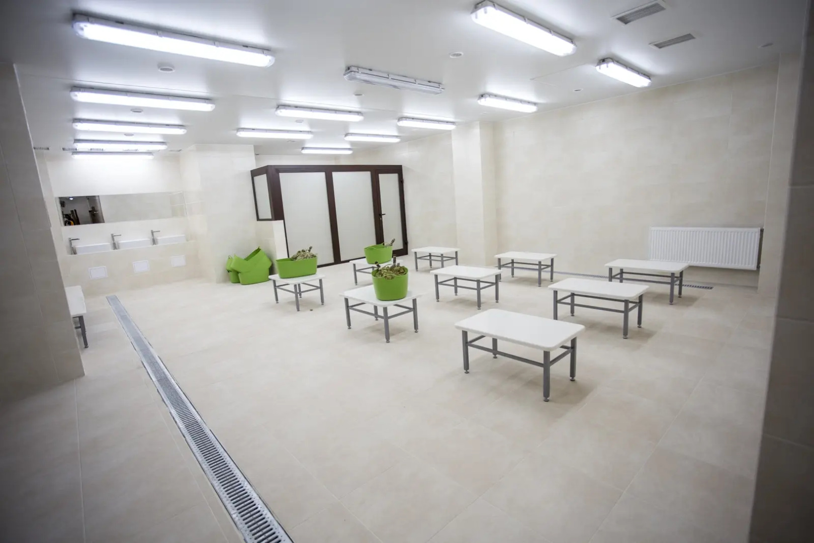 Отель Princess Frog