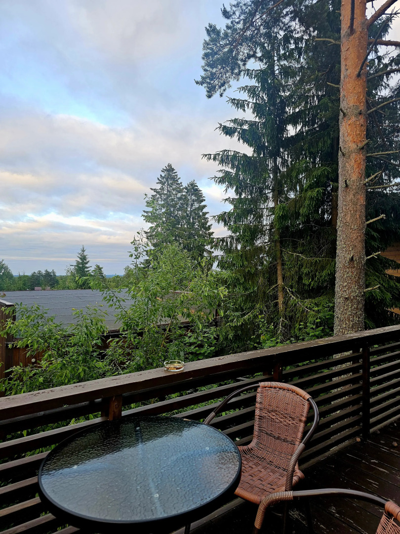 Коттедж Черничный Склон Violet House