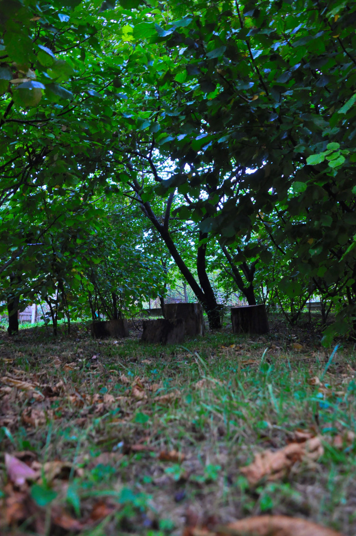 Гостевой дом Kamar